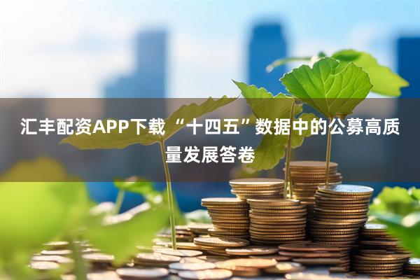 汇丰配资APP下载 “十四五”数据中的公募高质量发展答卷