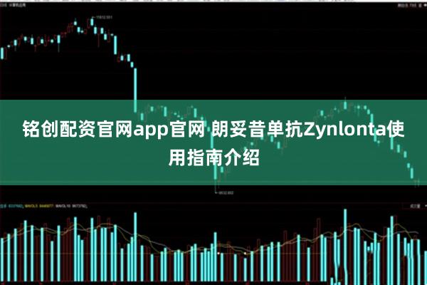 铭创配资官网app官网 朗妥昔单抗Zynlonta使用指南介绍