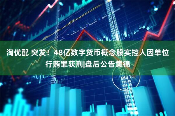 淘优配 突发！48亿数字货币概念股实控人因单位行贿罪获刑|盘后公告集锦