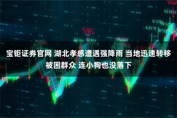 宝钜证券官网 湖北孝感遭遇强降雨 当地迅速转移被困群众 连小狗也没落下